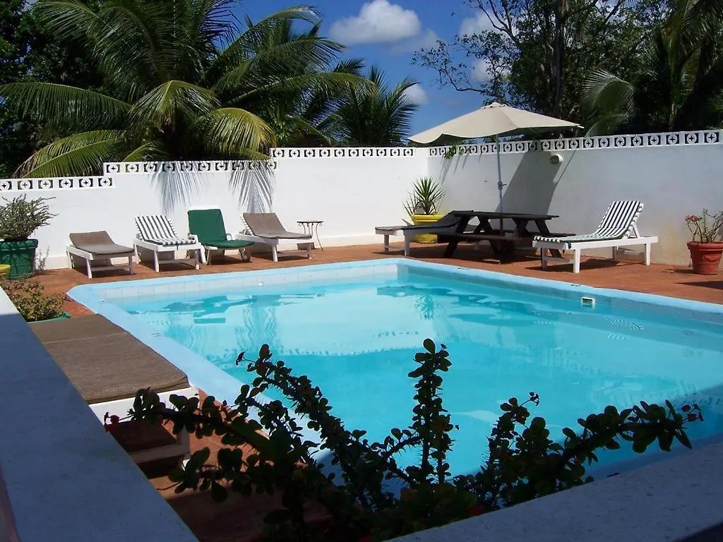 Almond Tree Villa Ocho Rios Homestay